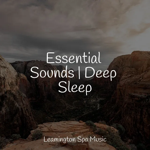 Essential Sounds | Deep Sleep