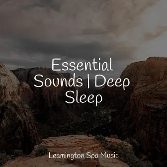 Essential Sounds | Deep Sleep by Meditation Music Experience