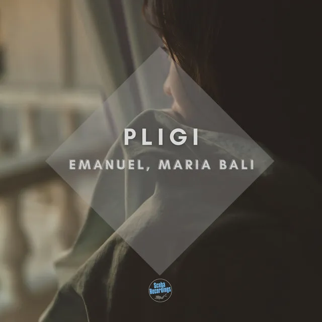 Pligi (Original mix)