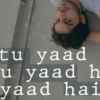 tu yaad hai by danish roomi