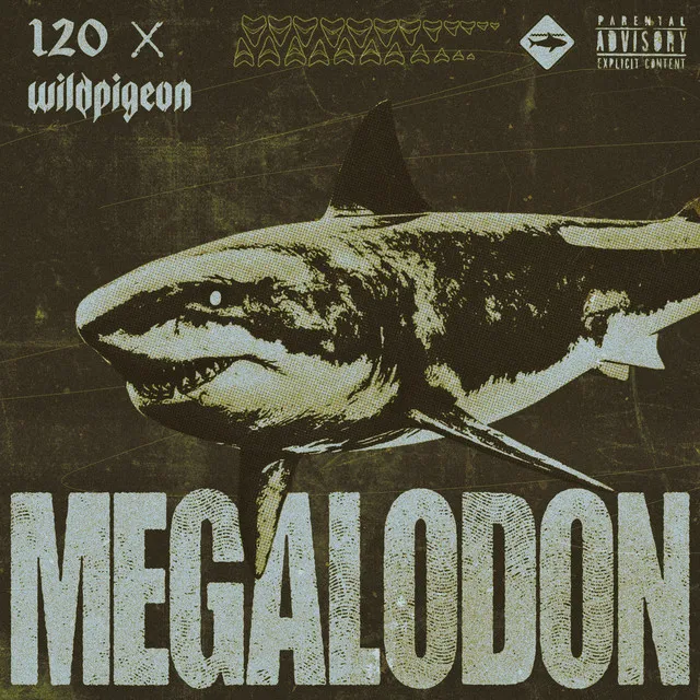 Megalodon