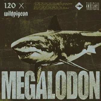 Megalodon by Wild Pigeon