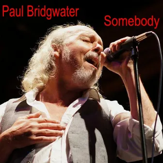 Somebody by Paul Bridgwater