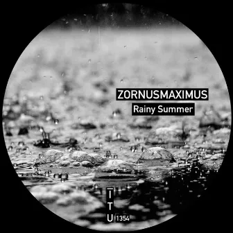 Rainy Summer by ZornusMaximus