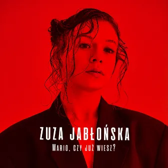 Mario, Czy Już Wiesz? by Zuza Jabłońska