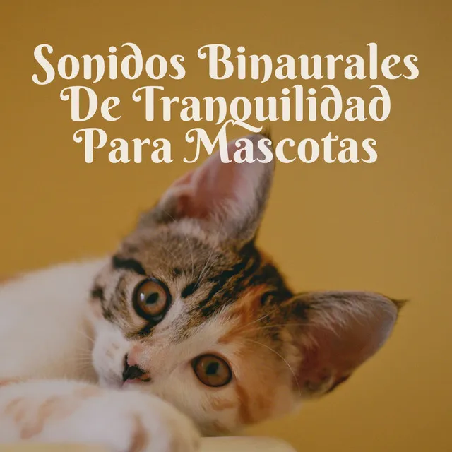 Relajación Zen Para Mascotas Con Sonidos Binaurales