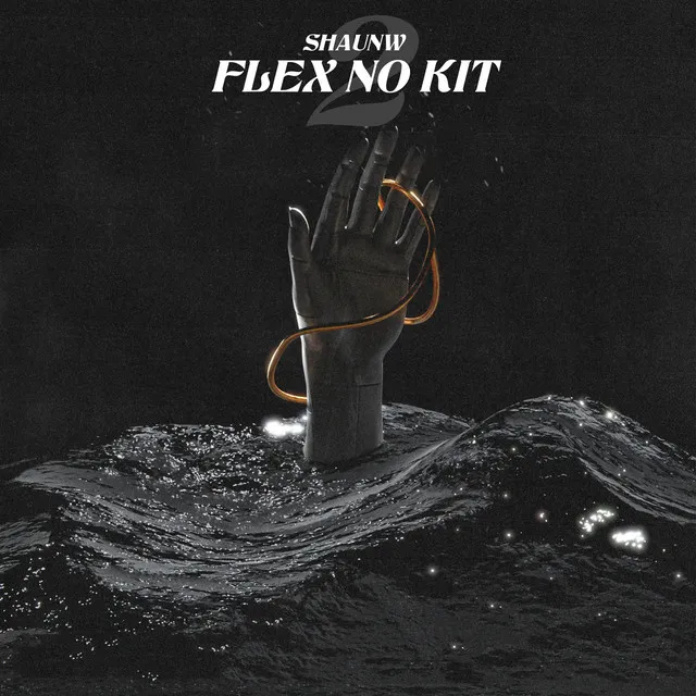 Flex no Kit 2