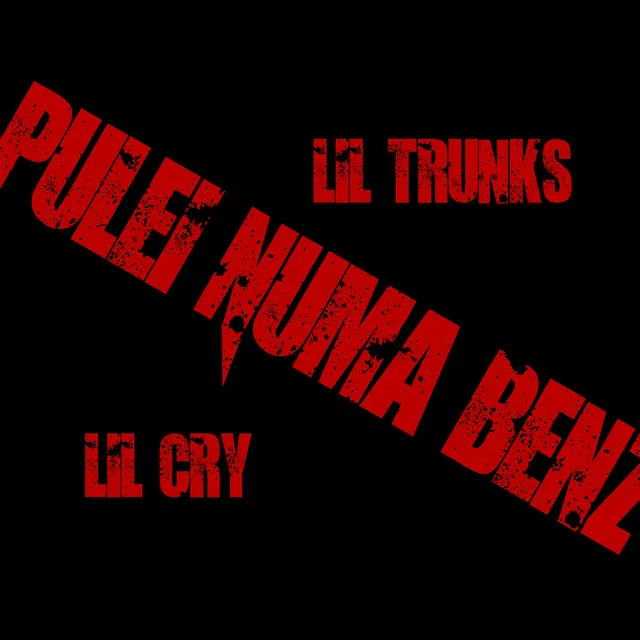 Pulei Numa Benz