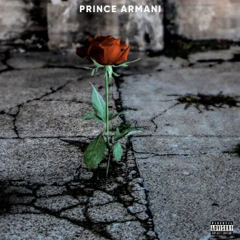 The Concrete Rose Theory by Prince Armani