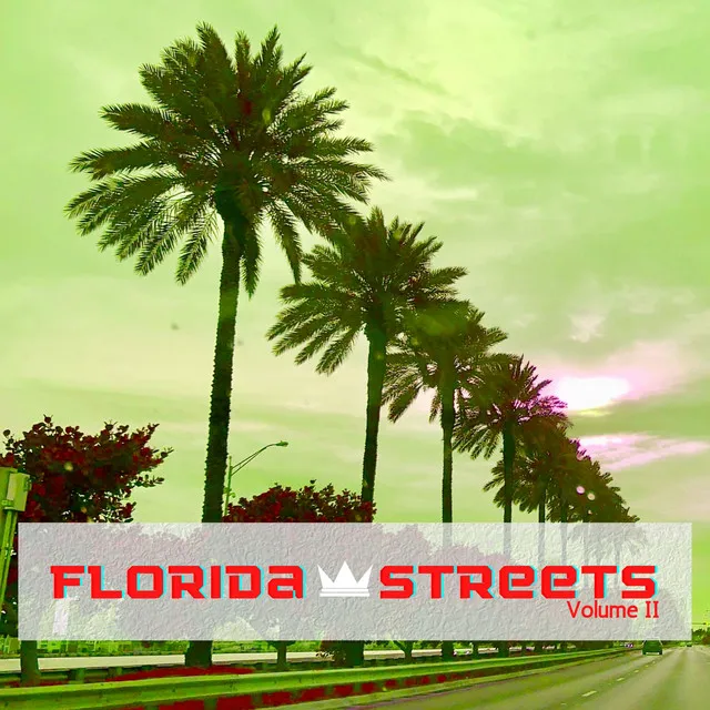 Florida Streets, Vol. 2