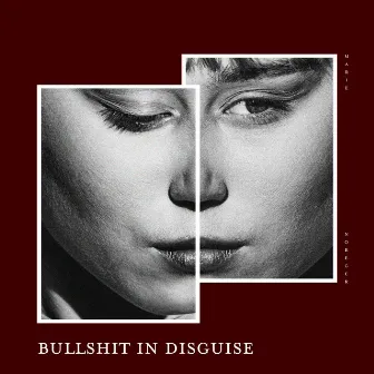 Bullshit in Disguise by Marie Noreger