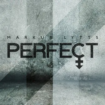 Perfect by Markus Lytts