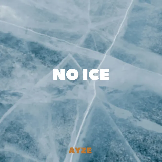 NO ICE