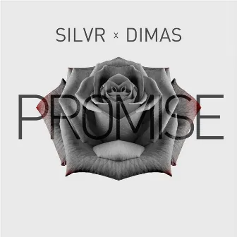 Promise by Dimas