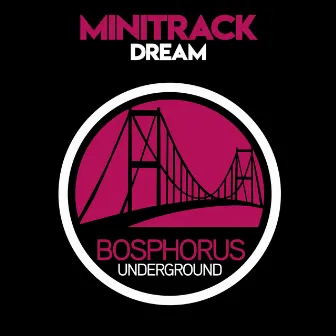 Dream by Minitrack