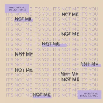 Not Me (The Official Delta Remix) by The Official Delta