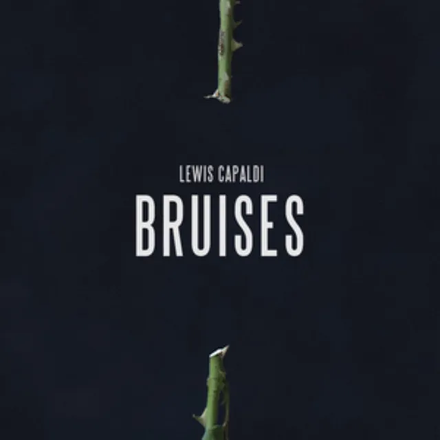 Lewis Capaldi Bruises - Alex Laray Remix