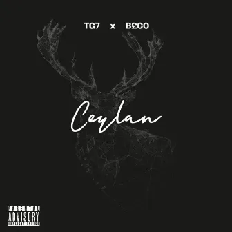 CEYLAN by TG7