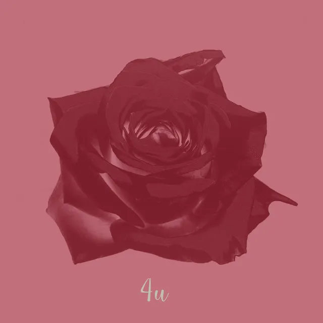 4U