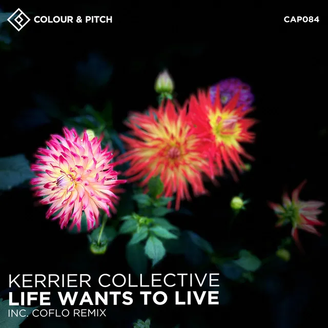 Life Wants to Live - Coflo Remix