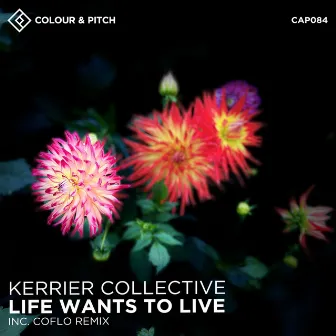 Life Wants to Live by Kerrier Collective