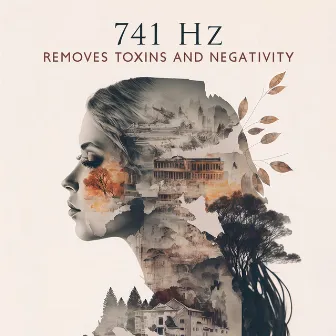 741 Hz Removes Toxins and Negativity by Meditation Mantras Guru