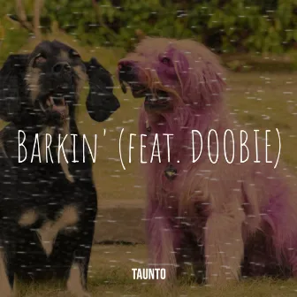 Barkin' by TAUNTO