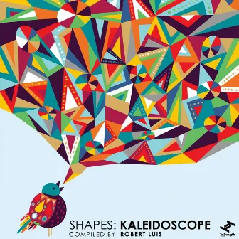 Shapes: Kaleidoscope by Robert Luis