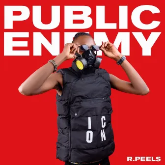 Public Enemy by R.Peels