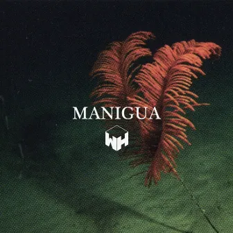 Manigua by VTZN