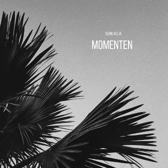 Momenten by Sohn Aelia