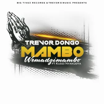 Mambo Wemadzimambo by Kudzi Nyakudya