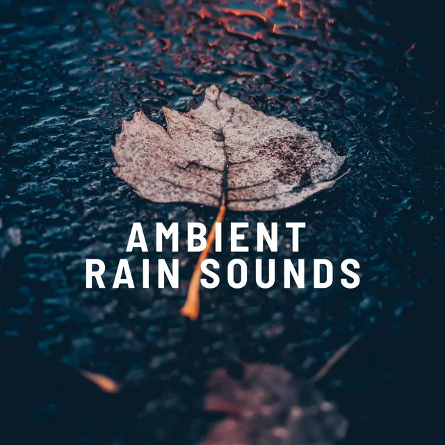 Ambient Rain Sounds