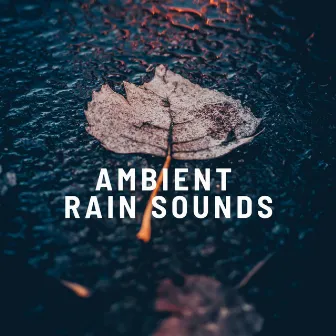 Ambient Rain Sounds by Rain WRLD