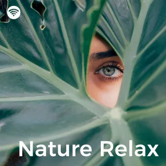 Nature Relax (Calm Green Meditation Noise Therapy) by The Relaxing Music Collective