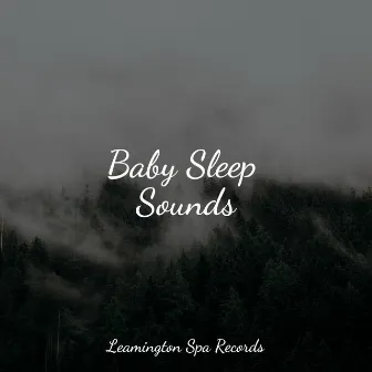 Baby Sleep Sounds by Unknown Artist