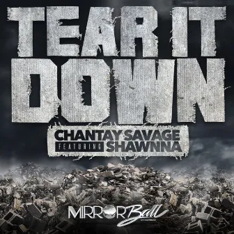 Tear It Down by Chantay Savage