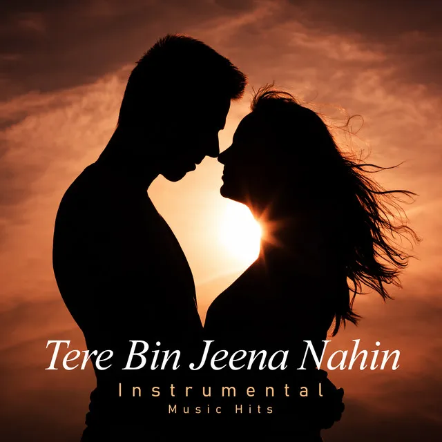 Tere Bin Jeena Nahin - Instrumental Music Hits