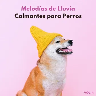 Melodías De Lluvia Calmantes Para Perros Vol. 1 by Música para perros con ansiedad