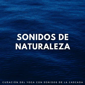 Sonidos De Naturaleza: Curación Del Yoga Con Sonidos De La Cascada by Yoga Infantil