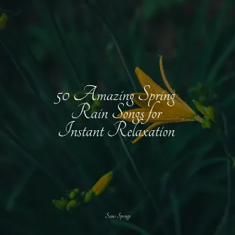 50 Amazing Spring Rain Songs for Instant Relaxation by Relaxing Music