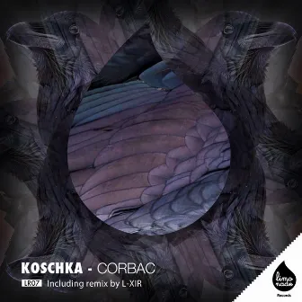 Koschka by Corbac