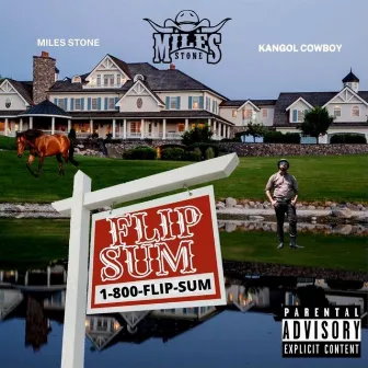 Flip Sum by Miles Stone