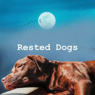 Rested Dogs by Dog Music Sessions