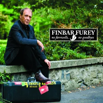 No Farewells, No Goodbyes by Finbar Furey