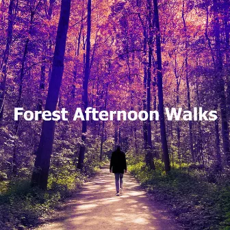 Forest Afternoon Walks by Calm Bird Sounds