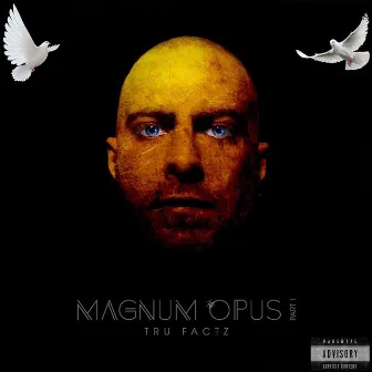 Magnum Opus by Tru Factz