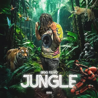 Jungle by Bigg Kevo