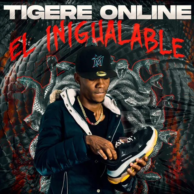 TIGERE ONLINE