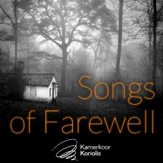 Songs of Farewell by Joris Derder